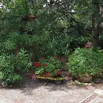 Casavacanze I Pini