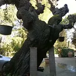 Casavacanze I Pini Cerbaia