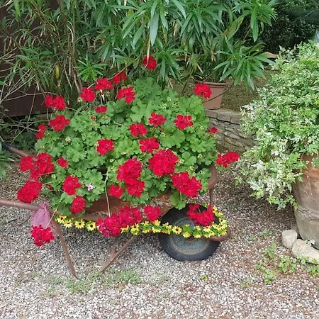 Appartement Casavacanze I Pini Cerbaia