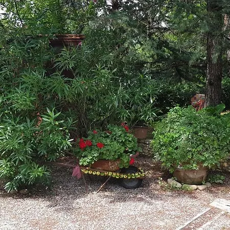 Casavacanze I Pini