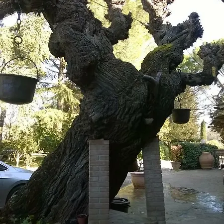 Casavacanze I Pini Cerbaia