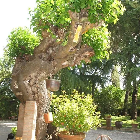 Appartement Casavacanze I Pini
