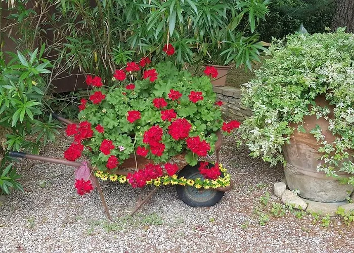 Appartement Casavacanze I Pini Cerbaia