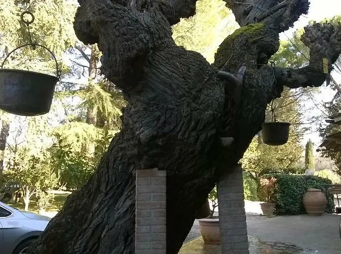 Casavacanze I Pini Cerbaia