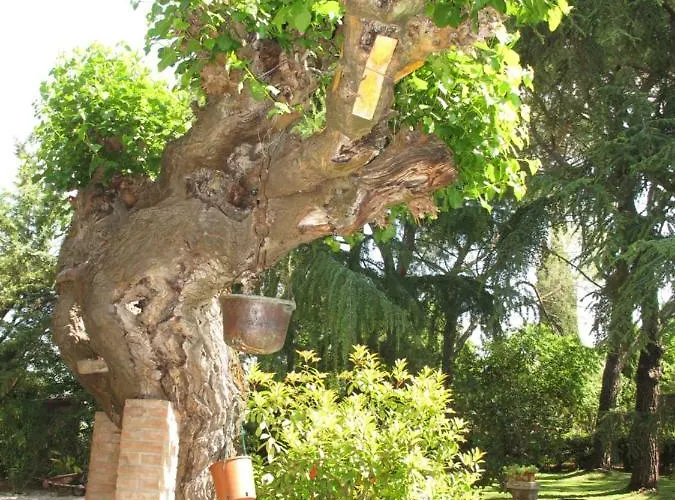 Appartement Casavacanze I Pini